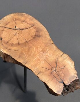 _1404_900X450-Photoroom (2)