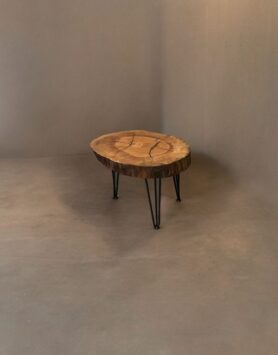 IMG_8085-Photoroom (2)